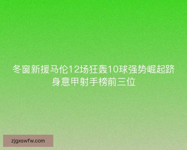 冬窗新援马伦12场狂轰10球强势崛起跻身意甲射手榜前三位 冬窗新援马伦12场狂轰10球强势崛起跻身意甲射手榜前三位