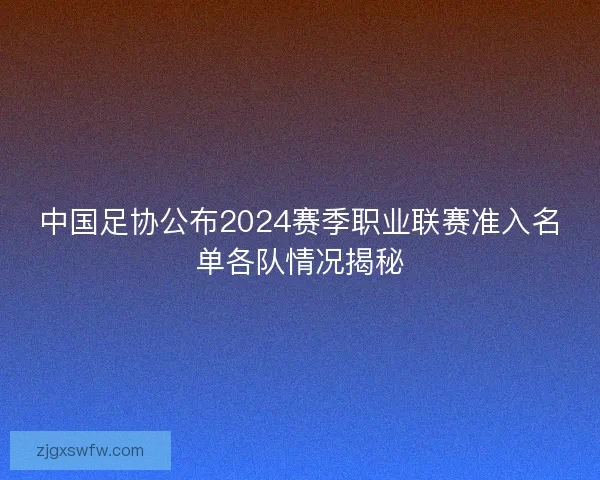 中国足协公布2024赛季职业联赛准入名单各队情况揭秘